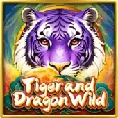 Tiger and Dragon Wild thumbnail